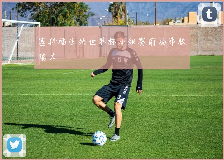 塞科福法纳世界杯小组赛前场串联能力